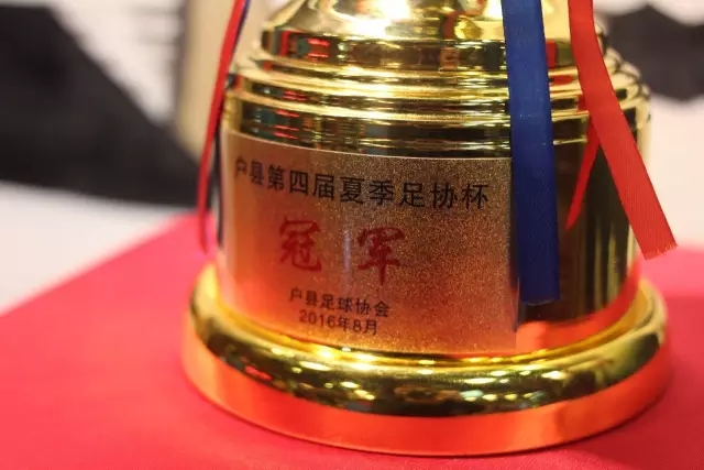 前国脚担忧：若男乒失势 中国球类堪忧